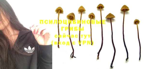 гашиш Абинск