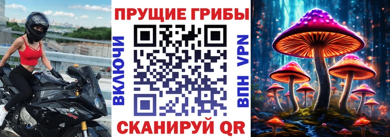 Галлюциногенные грибы MAGIC MUSHROOMS  купить закладку  kraken tor  Хадыженск 