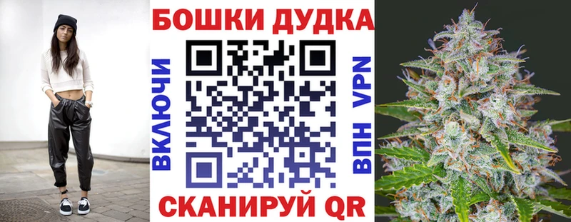 Каннабис сатива  Хадыженск 
